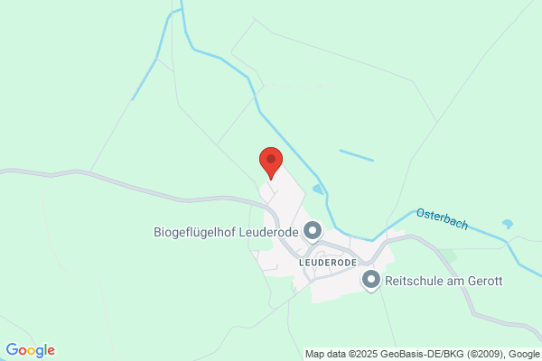 Hölke, Dina