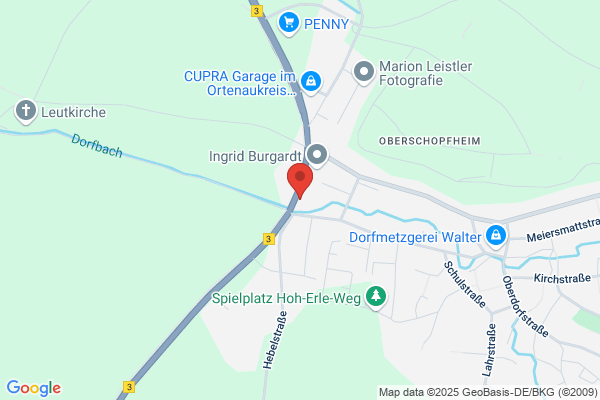 Yorcks Garnelen und Pflanzenhöhle