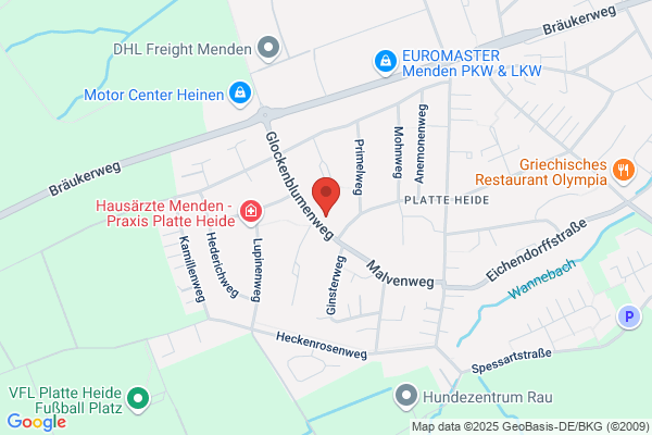 Salon Bongard