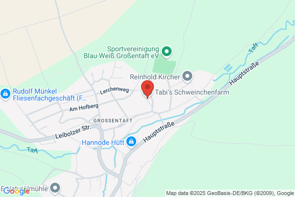 SFH Schweinezucht- u. Ferkelerzeugergemeinschft Hessen eG
