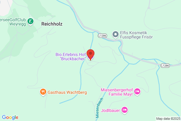 Bruckbacher