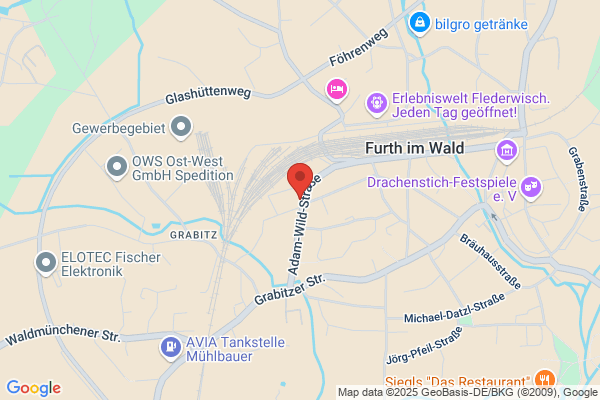 Dipl.-Betriebswirt Franz Wild