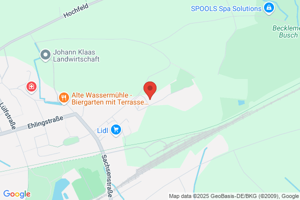 Scholz