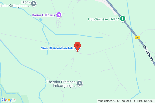 Nies Blumenhandels GmbH