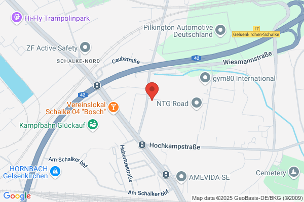 ZAUN - M.A.Y.