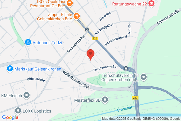 Farbfisch | Illustration und