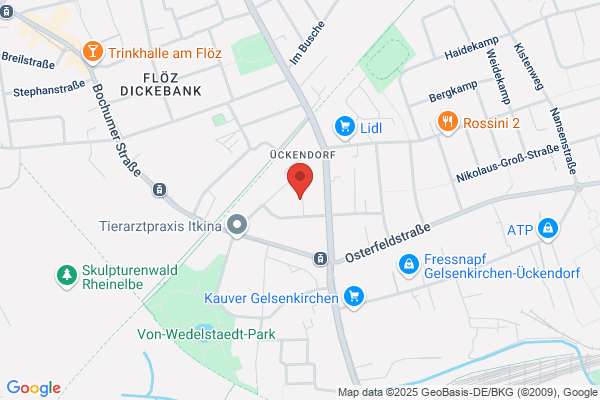 Pferdephysiotherapie CS