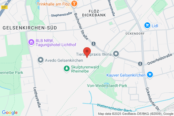 Gesamtschule Ückendorf