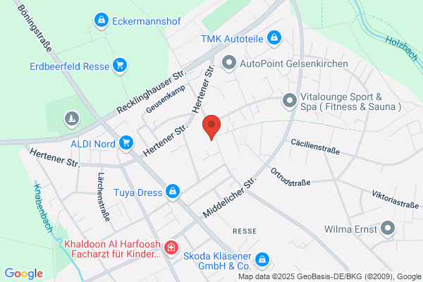 Gutenbergschule, Offene Ganztagsschule