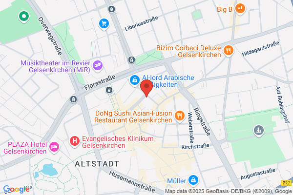 Hemsing Cornelia Continentale Agentur