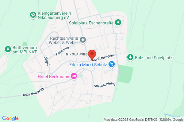 Schlehdorn