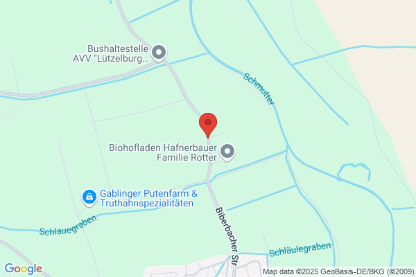 N. Hollerbach