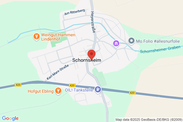 Volksbank Alzey-Worms eG - SB-Stelle Schornsheim