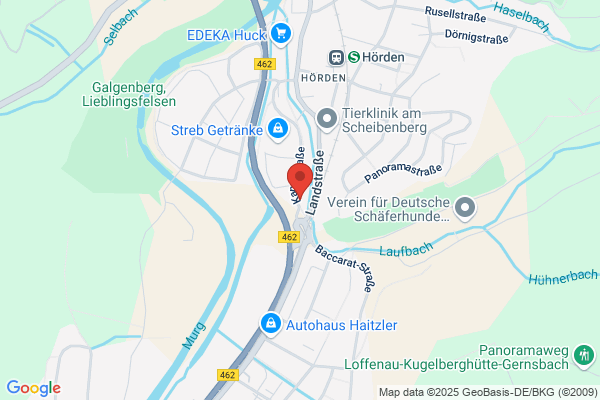 Jehovas Zeugen
