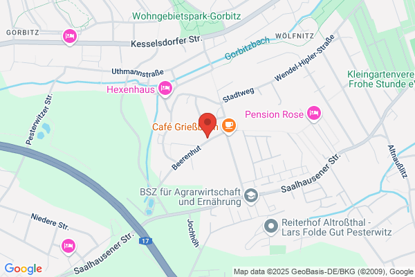 Lebenslinien