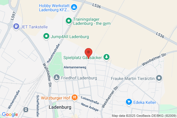 Immobilien Riesenstein
