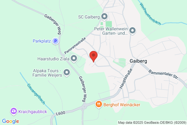 Ingenieur-Büro Wolf GmbH
