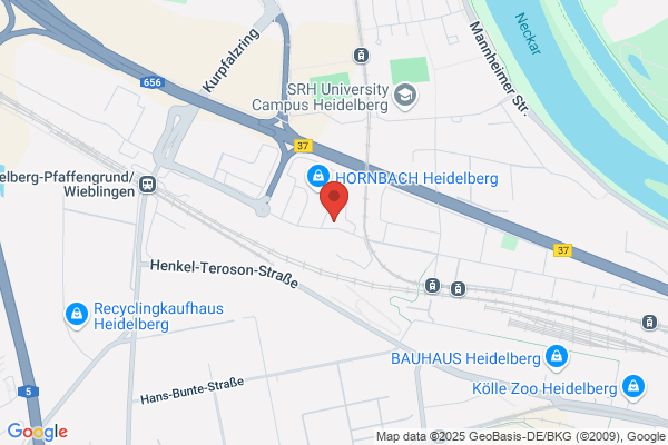 Lean Management Zentrum Heidelberg Consulting Group Dr. Eckhard Schäfer