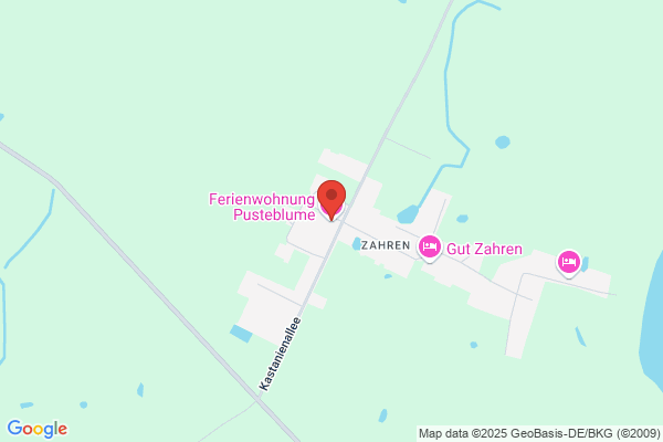 Ferienwohnung Pusteblume