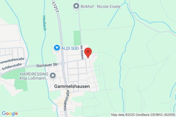 Basler Institut Basler Helmut