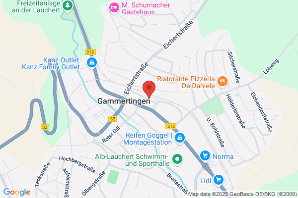 HzL Hohenzollerische Landesbahn AG, Bahnhof
