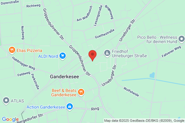 Heiko Busch
