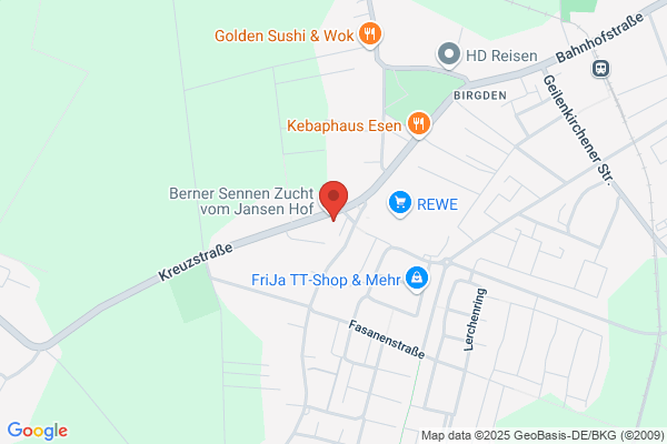 Bauregie Jansen GmbH