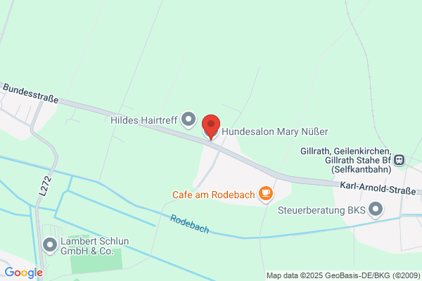 Hundesalon Mary Nüßer