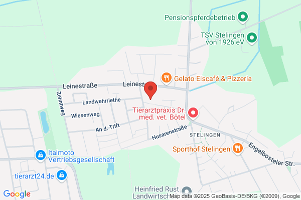 Kindergarten Stelingen Förderverein
