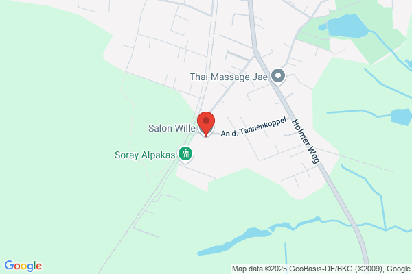 Salon Wille