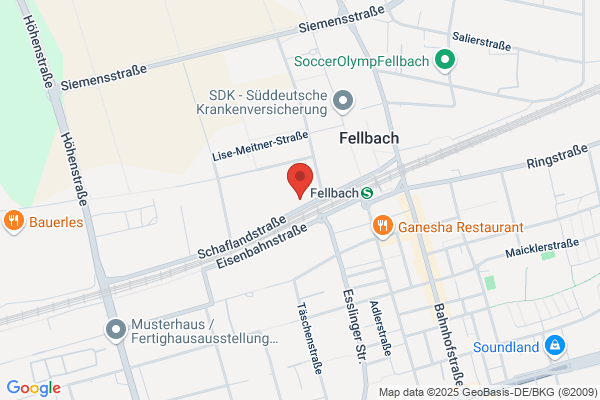 Rauschenberger