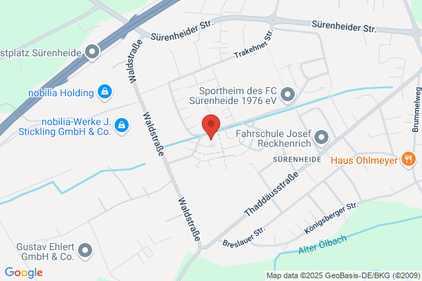 Reinigungsfee007