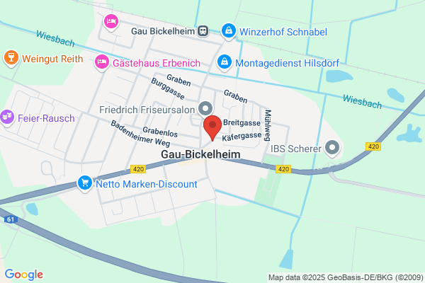 German Flight Trainers