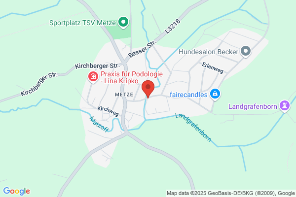 faktor N-Dr. Fricke Consult & Service