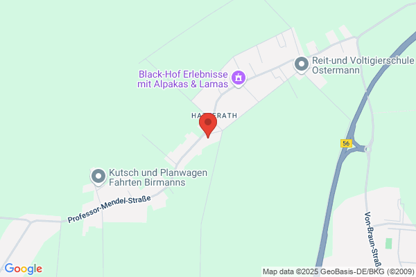 HOWA-BAU-GMBH, Leni Waldmann