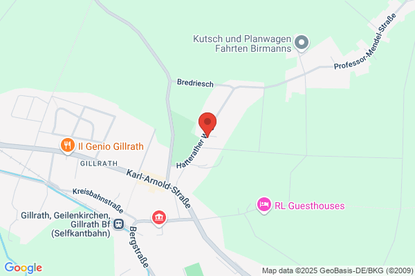 Kaminholz Palmen