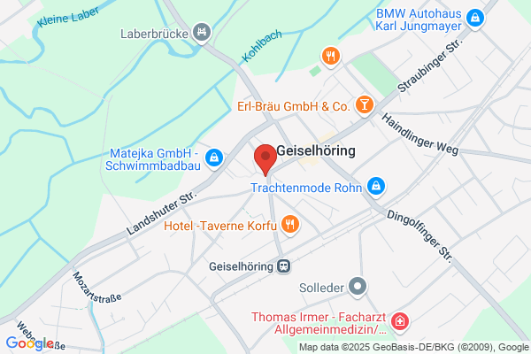 Heimservice Pizza Express Heimservice