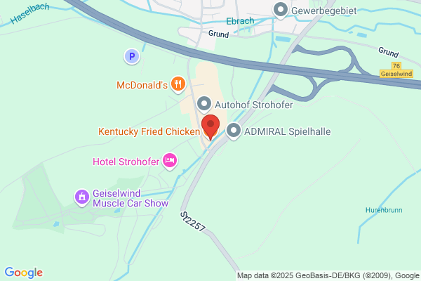 Kentucky Fried Chicken
