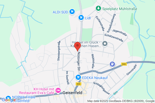 Feuerwehr Geisenfeld