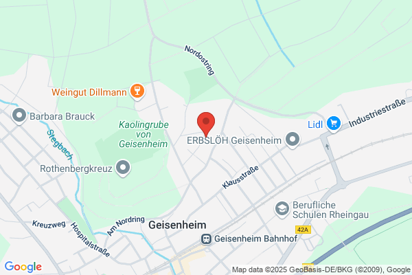 Haushahn GmbH & Co., C.