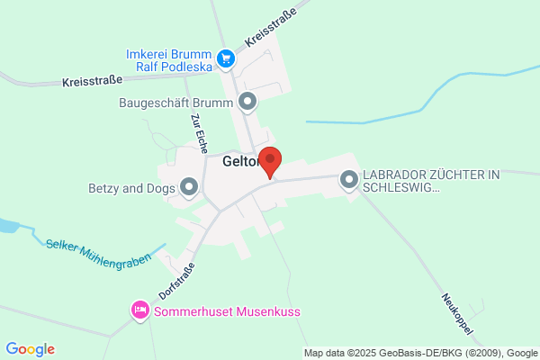 Reimer's Gasthof Inh. Peter Drews
