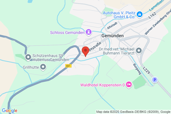 Freiwillige Feuerwehr