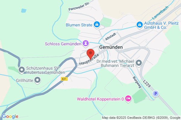 Turn-u.Sportverein Koppenstein Gemünden