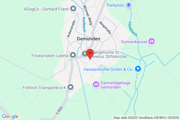 Sportverein 1919 Gemünden e. V.