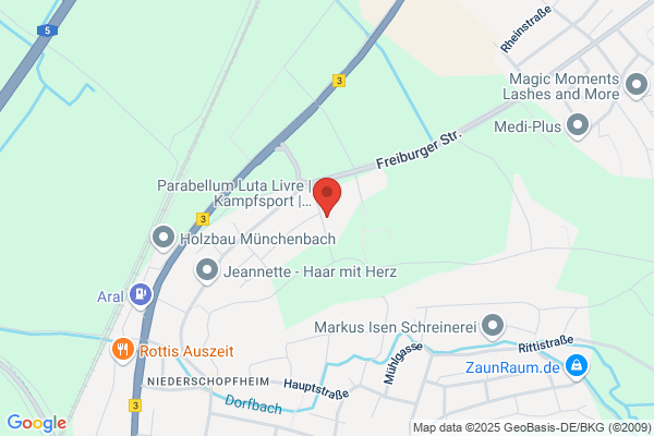 Metz, Mario - Dellenentfernung