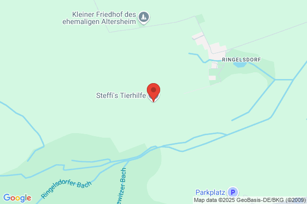 Steffi Kühne