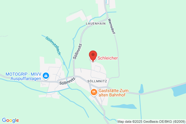 Schleicher