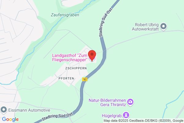 Fliegenschnapper