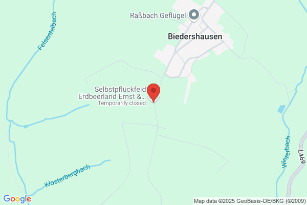 Erdbeerland Ernst