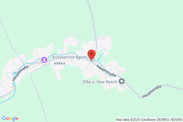 Autoservice Baum